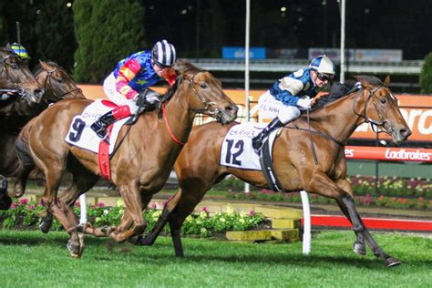 Manikato Stakes 2022 – Field Preview, Odds, Speed Map and .